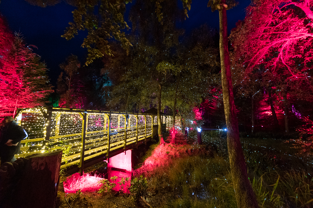 ENCHANTED FOREST SETS ITS SPOTLIGHTS ON 2023 The Enchanted Forest