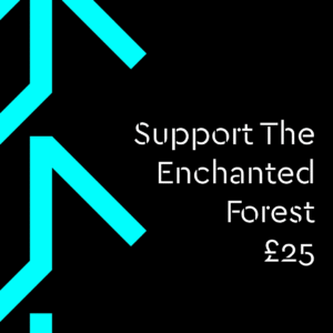 Support The Enchanted Forest with a Donation: £25