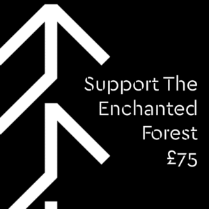 Support The Enchanted Forest with a Donation: £75